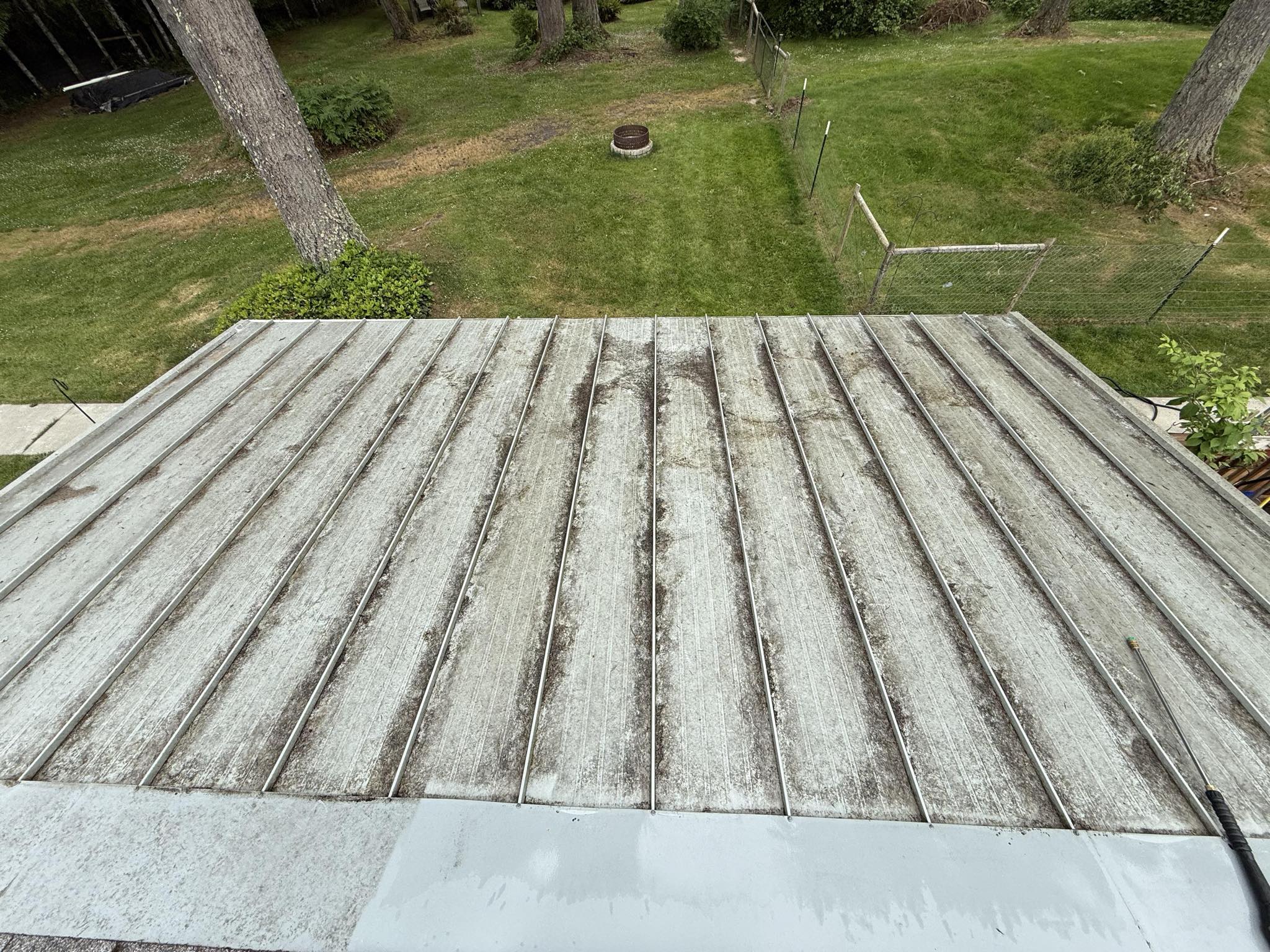 Roof Cleaning - Before